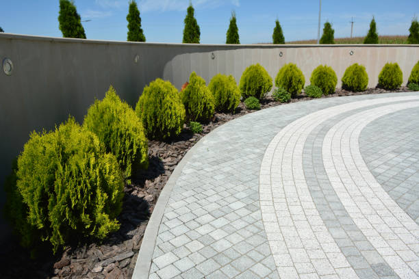 Best Interlocking Driveway Pavers  in Faribault, MN